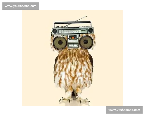 激发创意与设计灵感的平面设计比赛平台，展示你的艺术才华和创意突破